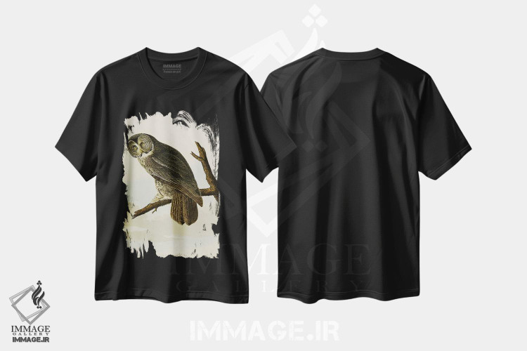 تیشرت طرح دار جغد خاکستری بزرگ، هنر فاخر کلاسیک اثر جان جیمز آدوبون | immage.ir