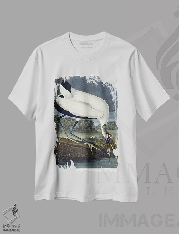 تیشرت طرح دار 1834,ایبیس چوبی، ۱۸۳۴، هنر فاخر کلاسیک اثر جان جیمز آدوبون | فروشگاه ایماژ