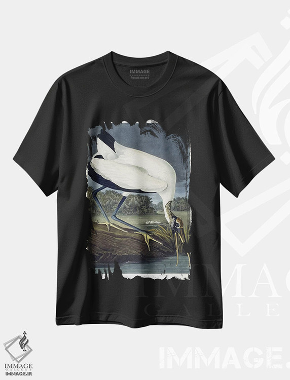 تیشرت طرح دار 1834,ایبیس چوبی، ۱۸۳۴، هنر فاخر کلاسیک اثر جان جیمز آدوبون | immage.ir