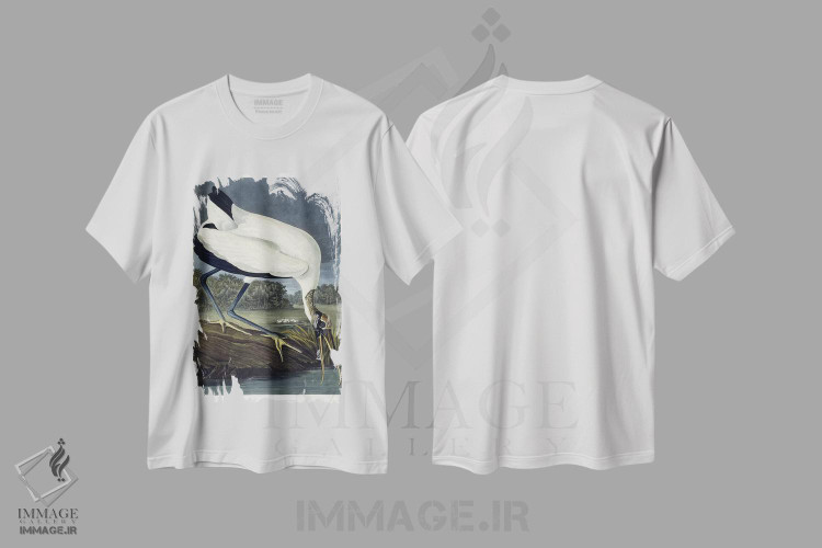 تیشرت طرح دار 1834,ایبیس چوبی، ۱۸۳۴، هنر فاخر کلاسیک اثر جان جیمز آدوبون | فروشگاه ایماژ