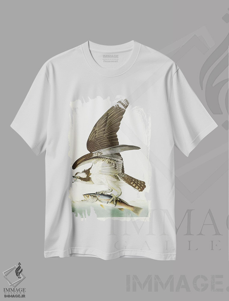 تیشرت طرح دار 1830,شاهین ماهیگیر، ۱۸۳۰، هنر فاخر کلاسیک اثر جان جیمز آدوبون | immage.ir