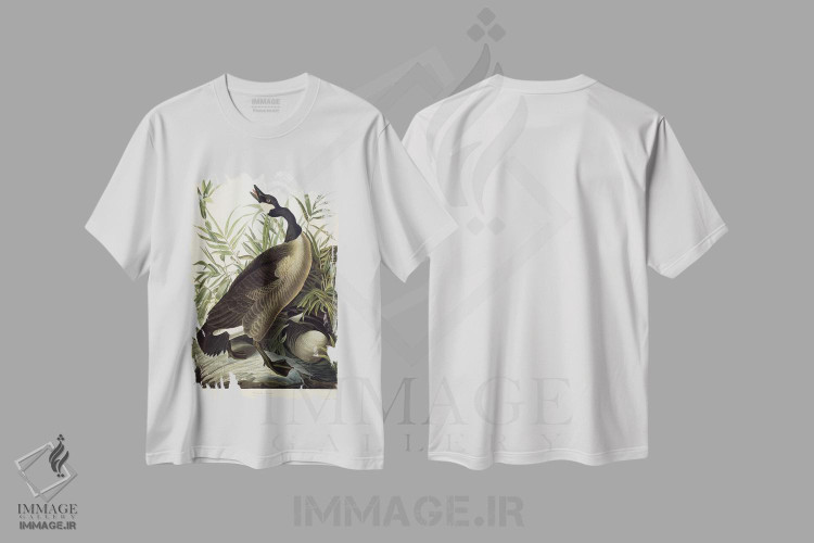تیشرت طرح دار آثار جان جیمز آدوبون - immage.ir