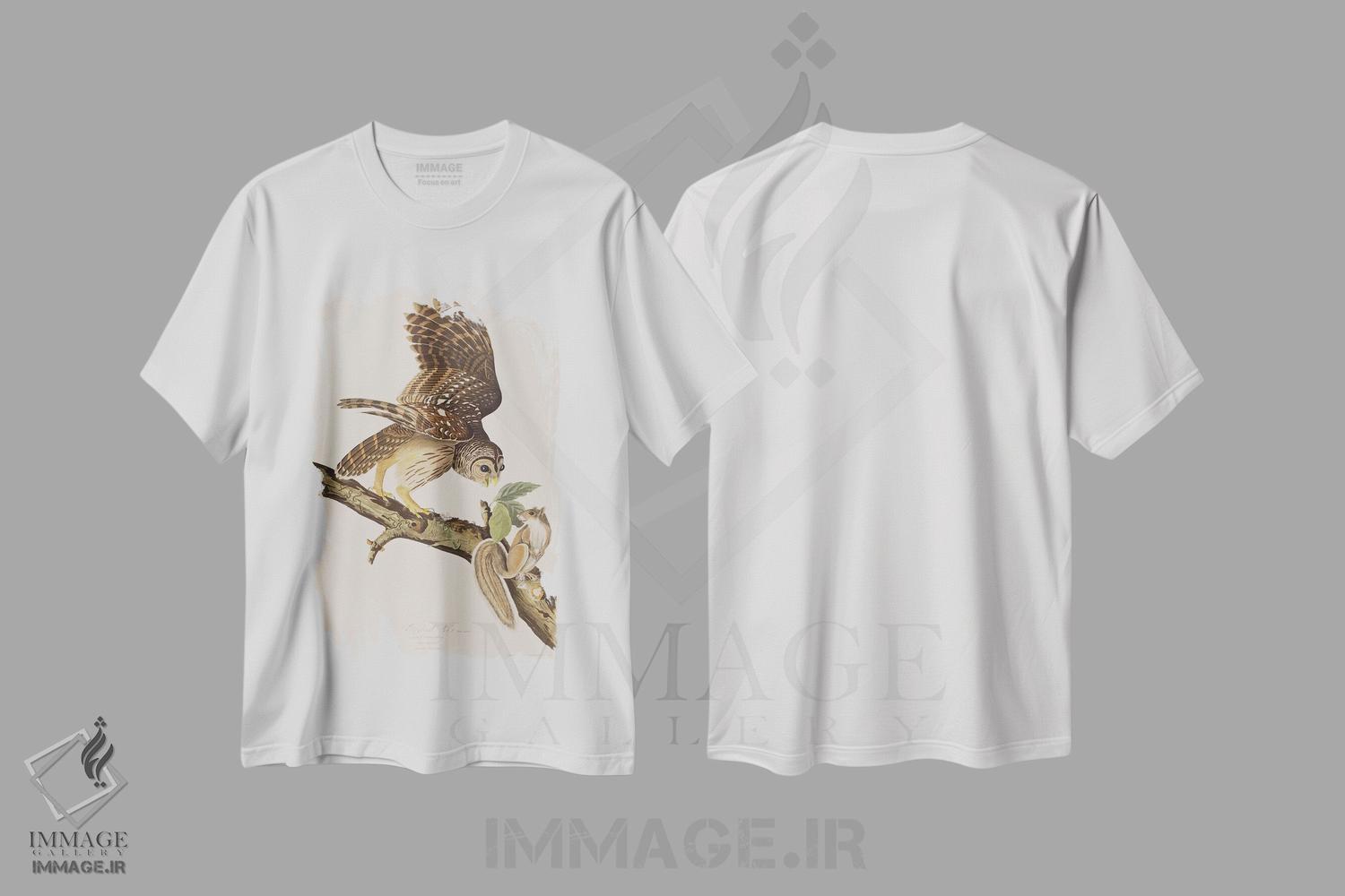 تیشرت طرح دار جغد خط دار و سنجاب خاکستری، هنر فاخر کلاسیک اثر جان جیمز آدوبون | فروشگاه ایماژ