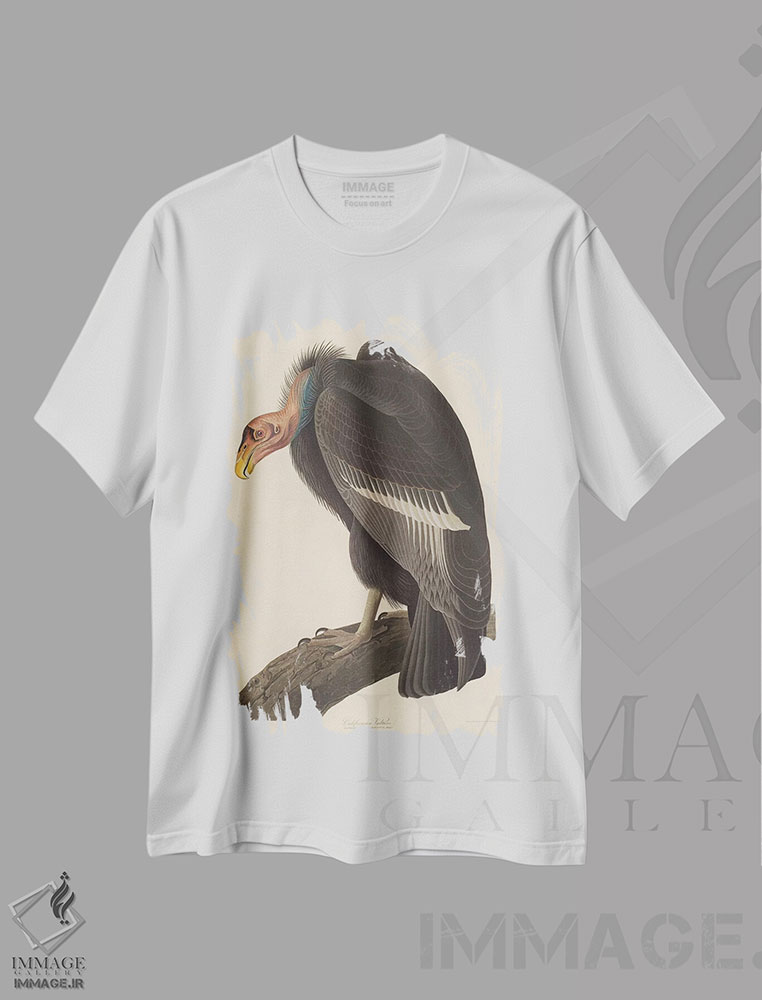 تیشرت طرح دار کرکس کالیفرنیایی، هنر فاخر کلاسیک اثر جان جیمز آدوبون | فروشگاه ایماژ