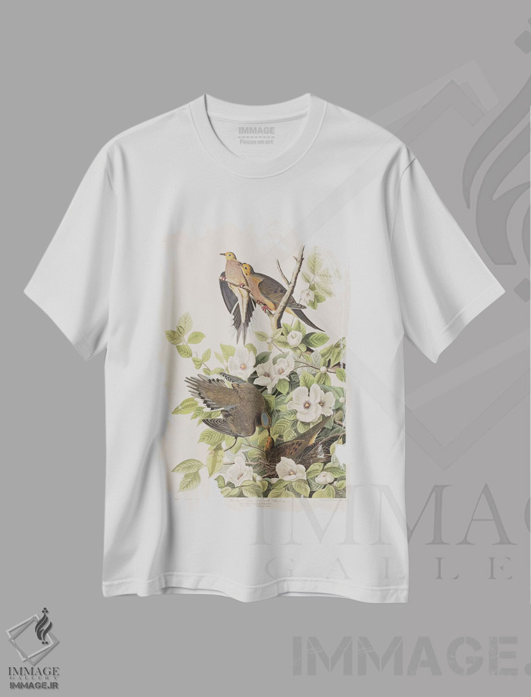 تیشرت طرح دار قمری کارولینا و استوارتیا ویرجینیا، هنر فاخر کلاسیک اثر جان جیمز آدوبون | immage.ir