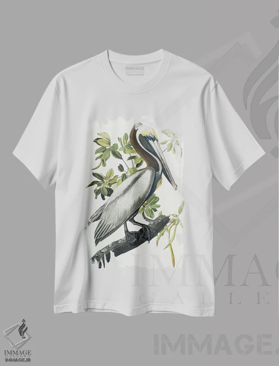 تیشرت سفید طرح دار 1835,پلیکان قهوه ای، ۱۸۳۵ اثر جان جیمز آدوبون | immage.ir