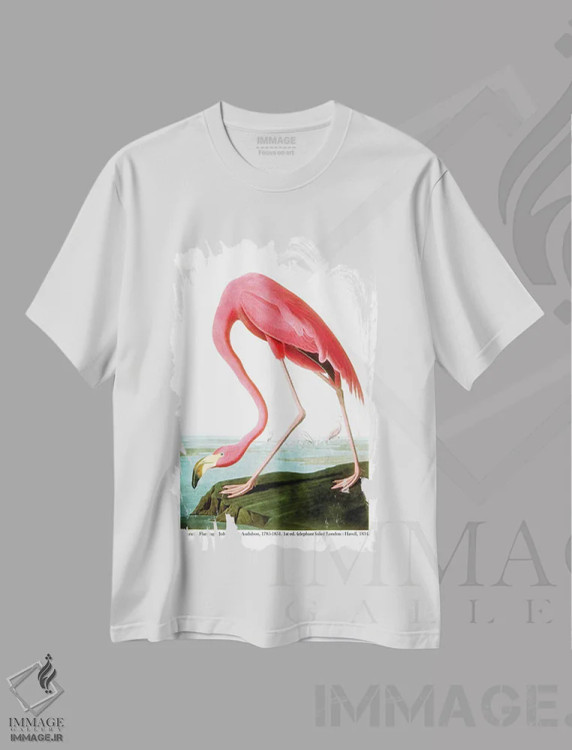 تیشرت سفید طرح دار 1834،فلامینگو آمریکایی، ۱۸۳۴، هنر فاخر کلاسیک اثر جان جیمز آدوبون | immage.ir