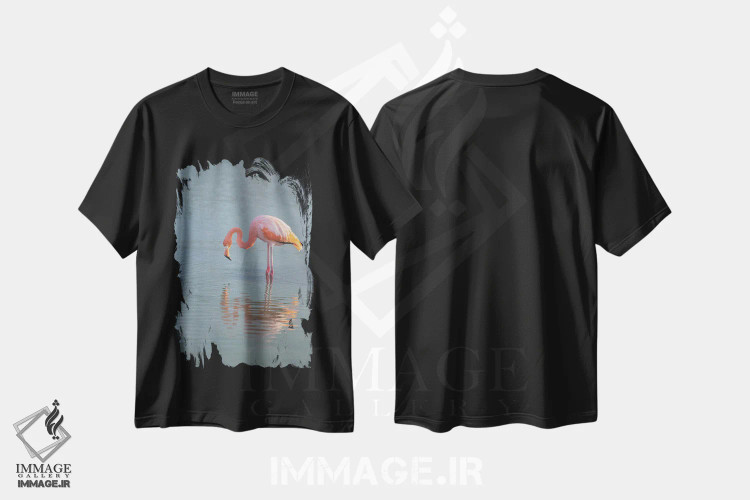 تیشرت مشکی طرح دار فلامینگو به دنبال غذا در خور در جزایر گالاپاگوس، مدیوم اثر بتی سدرکوئیست | فروشگاه ایماژ