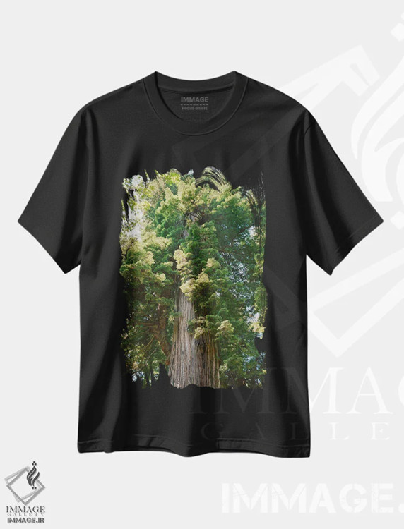 تیشرت مشکی طرح دار جنگل ردوود کالیفرنیا روی نگاتیو، مدیوم اثر بثانی یانگ | immage.ir