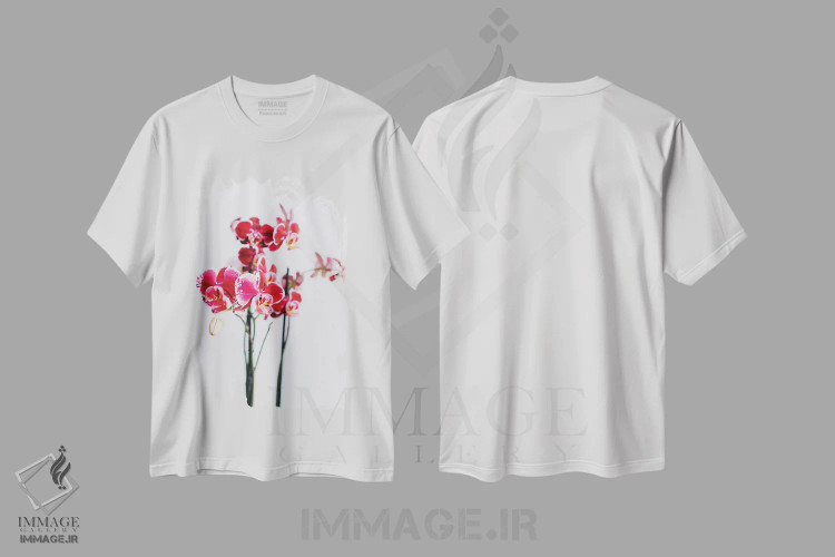 تیشرت سفید طرح دار شکوفه های پوزیتانو شماره دو، مدیوم اثر بثانی یانگ | فروشگاه ایماژ