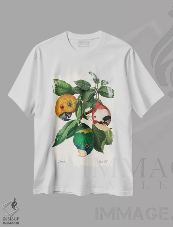 تیشرت سفید طرح دار برداشت طوطی، دکوراسیون جایگزین اثر بتو وال | فروشگاه ایماژ