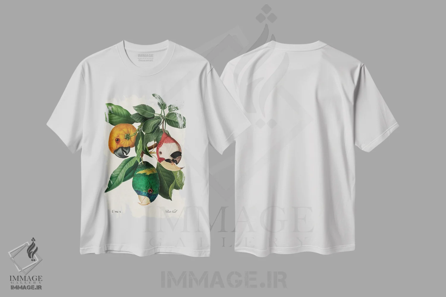 تیشرت سفید طرح دار برداشت طوطی، دکوراسیون جایگزین اثر بتو وال | فروشگاه ایماژ
