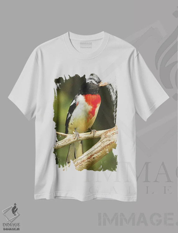 تیشرت سفید طرح دار سبدک سینه صورتی، مدیوم اثر برایان ولف | فروشگاه ایماژ