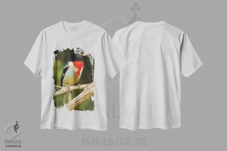 تیشرت سفید طرح دار سبدک سینه صورتی، مدیوم اثر برایان ولف | فروشگاه ایماژ