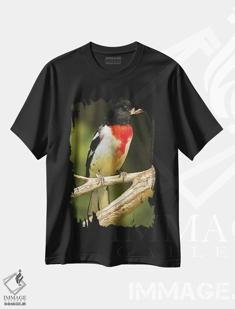 تیشرت مشکی طرح دار سبدک سینه صورتی، مدیوم اثر برایان ولف | immage.ir