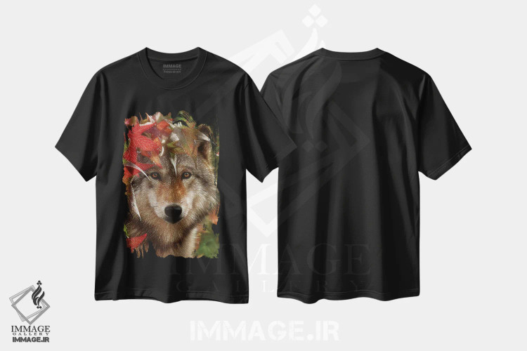 تیشرت مشکی طرح دار روبرو شدن پاییزی، هنر فاخر معاصر اثر کالین بوگل | immage.ir