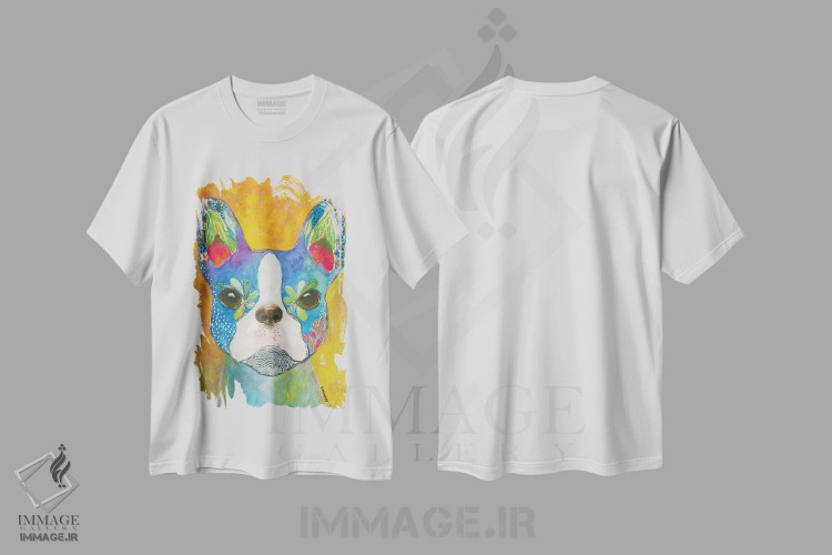 تیشرت سفید طرح دار آبی بوستونی، دکور معاصر اثر کانی کالم | immage.ir