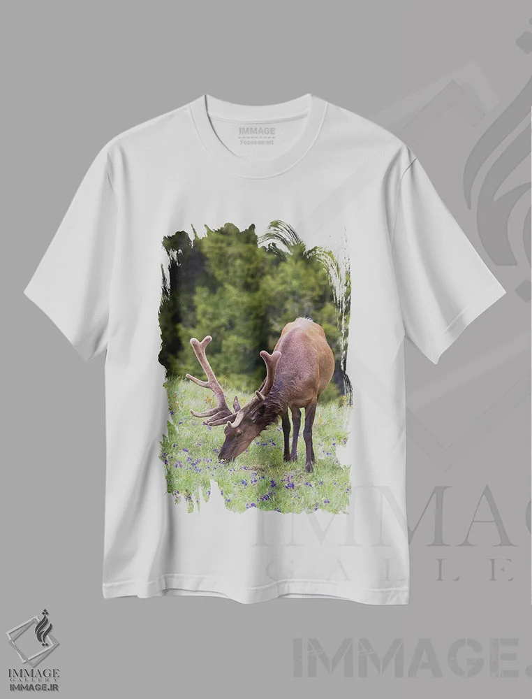تیشرت سفید طرح دار آثار کن آرچر - immage.ir