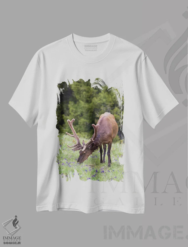 تیشرت سفید طرح دار آثار کن آرچر - immage.ir