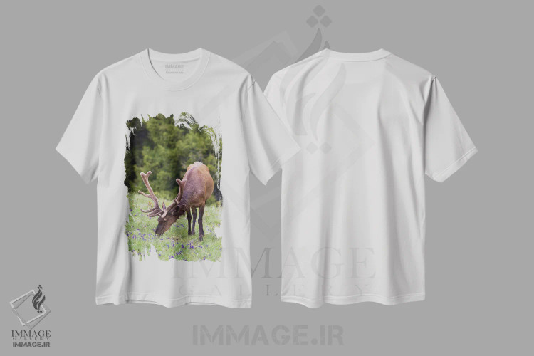 تیشرت سفید طرح دار آثار کن آرچر - immage.ir