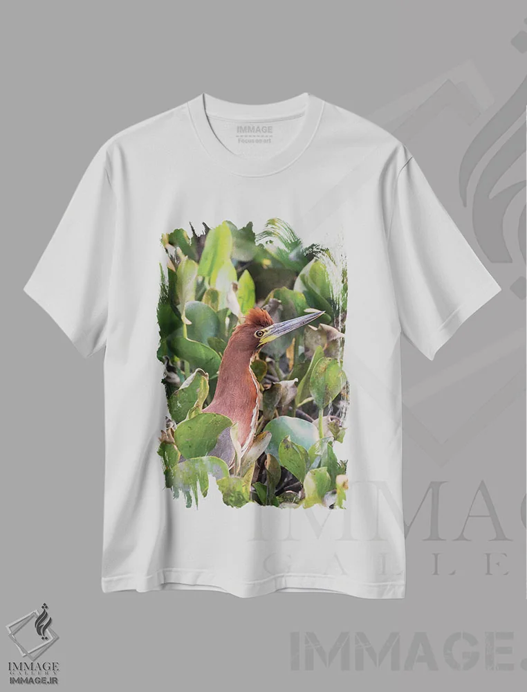 تیشرت سفید طرح دار حواصیل ببرگون قهوه ای اثر کن آرچر | immage.ir