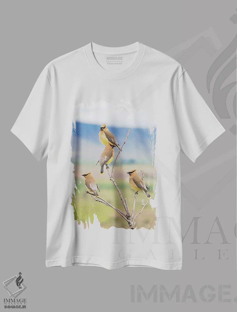 تیشرت سفید طرح دار Spring Migration,سدار وکس وینگ ها، مهاجرت بهاری، مدیوم اثر کن آرچر | immage.ir