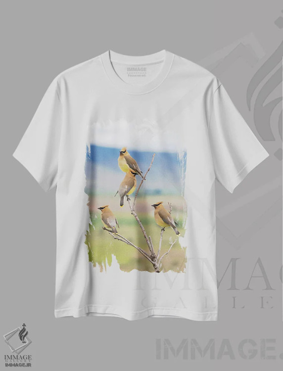 تیشرت سفید طرح دار Spring Migration,سدار وکس وینگ ها، مهاجرت بهاری، مدیوم اثر کن آرچر | immage.ir