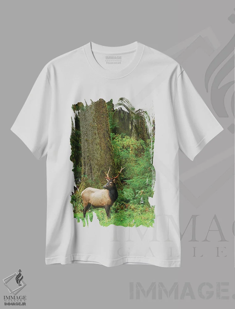 تیشرت سفید طرح دار آثار کن آرچر - immage.ir