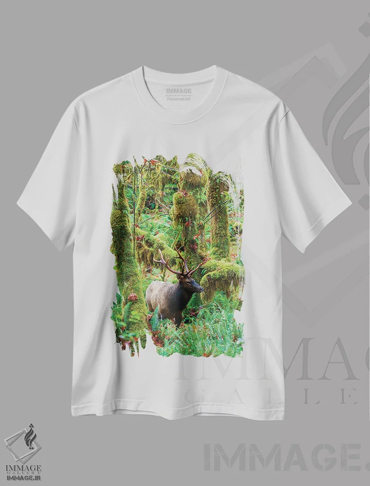 تیشرت سفید طرح دار آثار کن آرچر - فروشگاه ایماژ