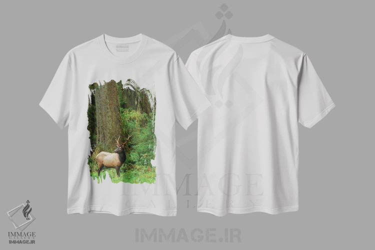 تیشرت سفید طرح دار آثار کن آرچر - immage.ir