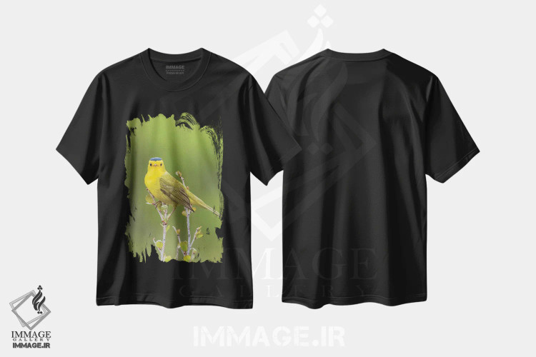 تیشرت مشکی طرح دار چکچک ویلسون، مدیوم اثر کن آرچر | immage.ir