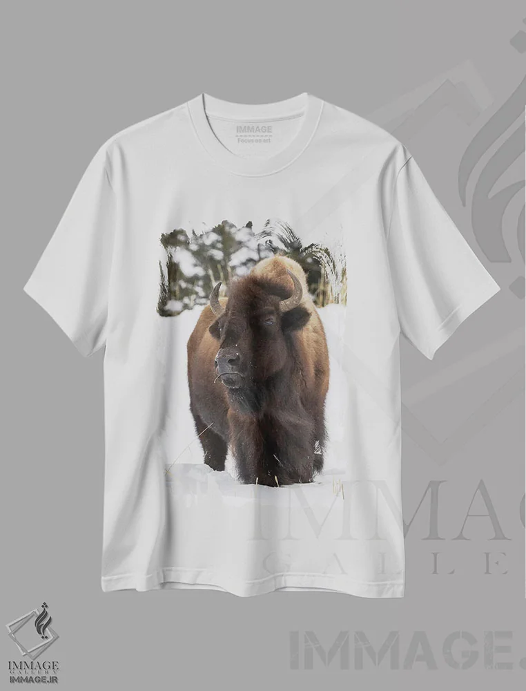 تیشرت سفید طرح دار آثار کن آرچر - immage.ir