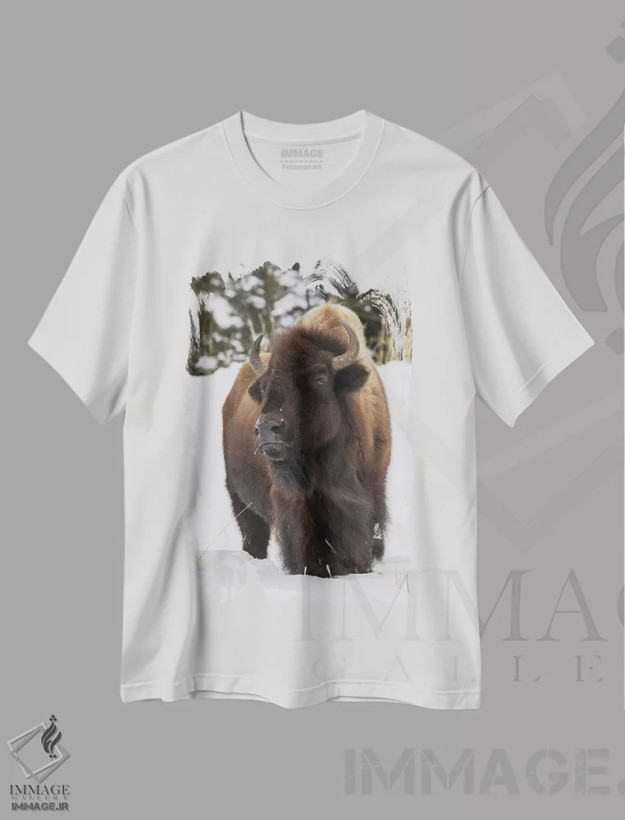 تیشرت سفید طرح دار آثار کن آرچر - immage.ir