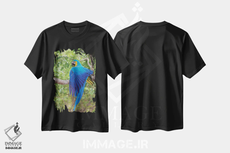 تیشرت مشکی طرح دار ماکائوی آبی و طلایی در حال کشیدن بال، عکاسی ماکرو اثر کن آرچر | immage.ir