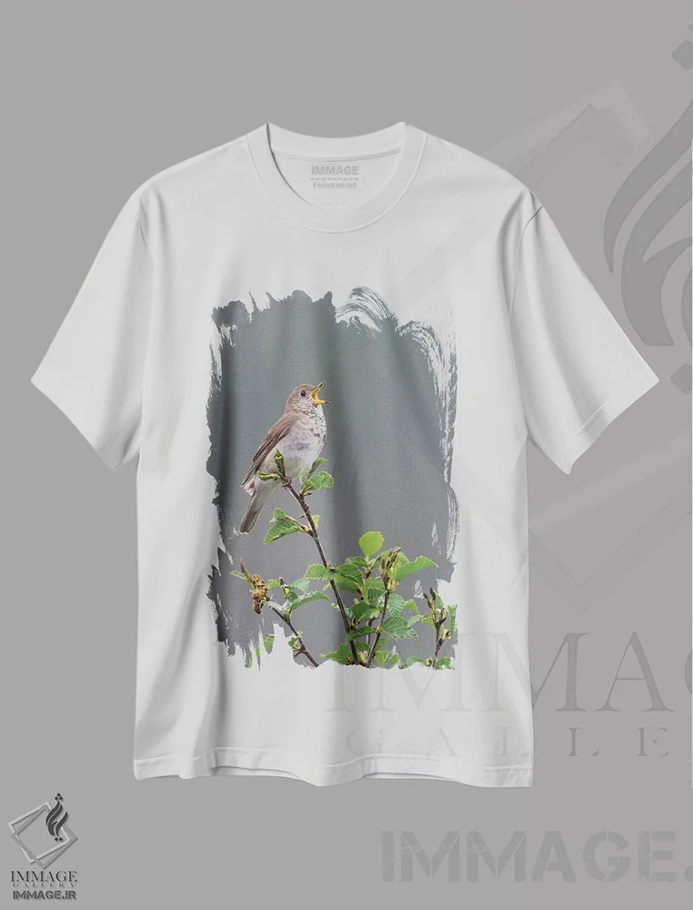 تیشرت سفید طرح دار آواز قلمرویی ترد خاکستری گونه اثر کن آرچر | فروشگاه ایماژ