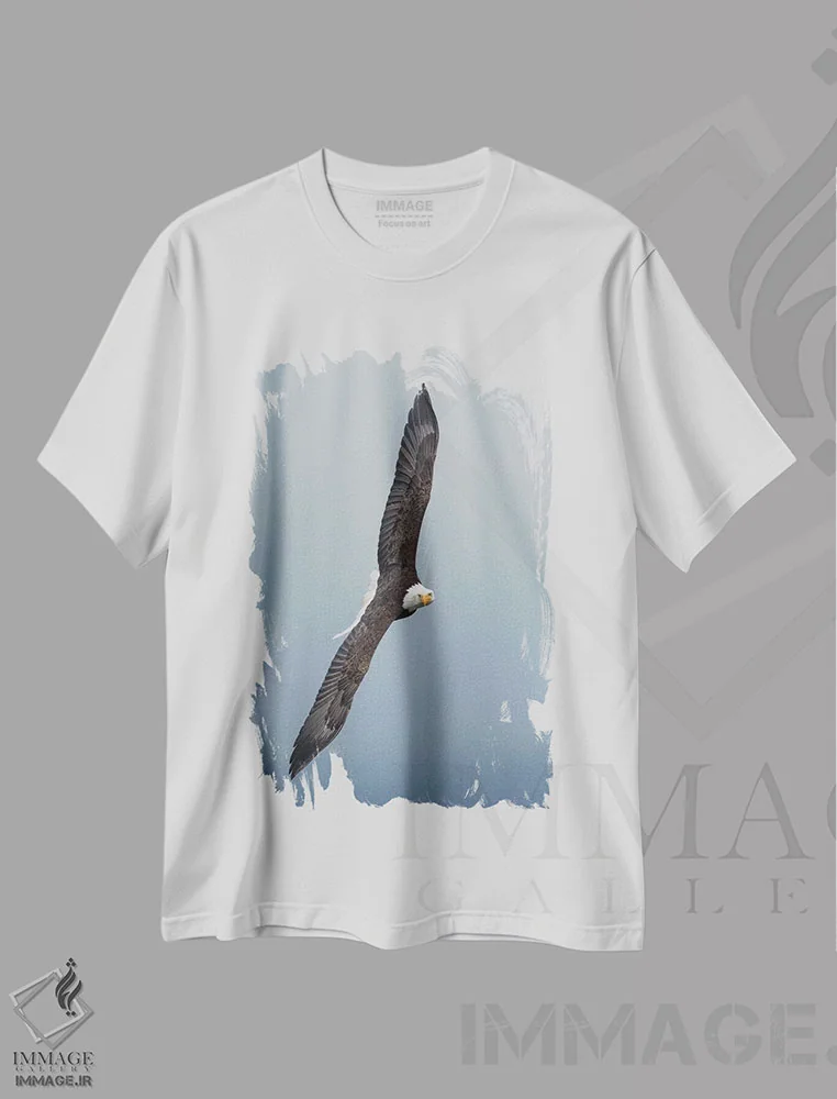 تیشرت سفید طرح دار عقاب سرسفید در حال پرواز ۳، مدیوم اثر کن آرچر | فروشگاه ایماژ