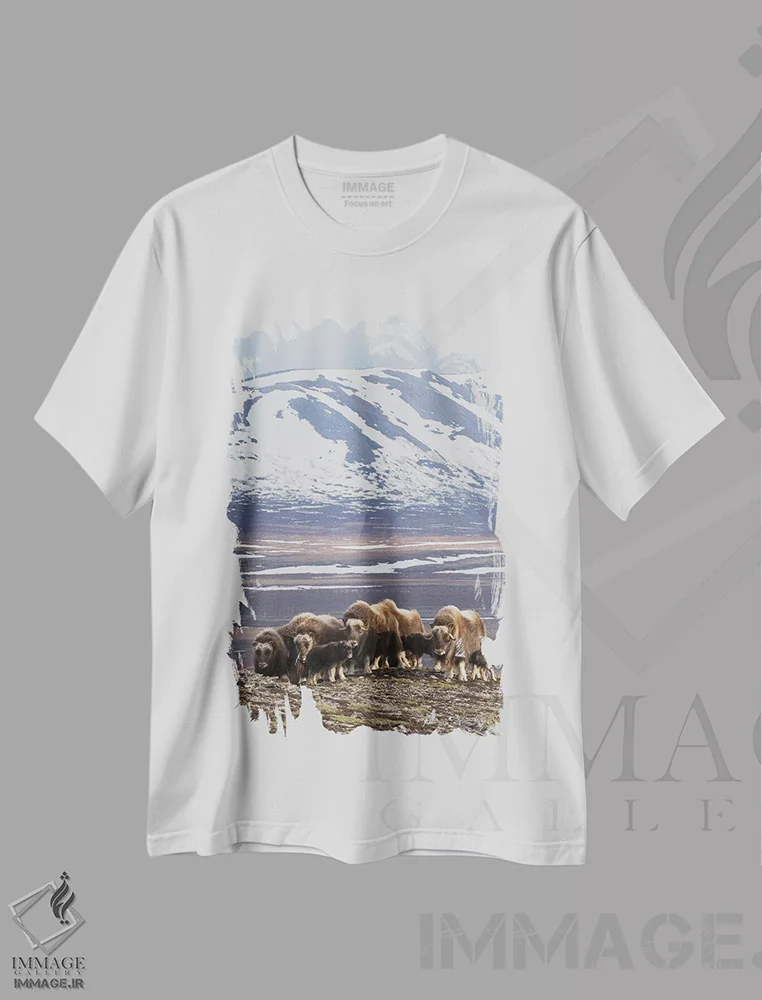 تیشرت سفید طرح دار Arctic habitat,گله گاومیش مشکین، زیستگاه شمالگان، عکاسی ماکرو اثر کن آرچر | immage.ir