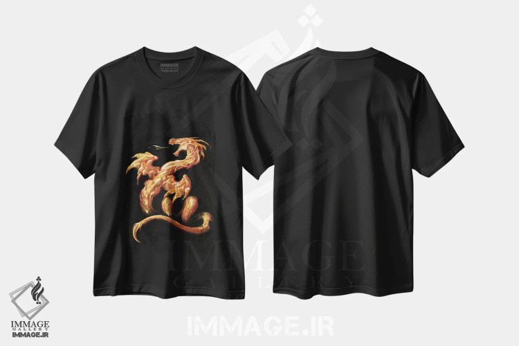 تیشرت مشکی طرح دار آتش، مدیوم اثر سیروئلو | فروشگاه ایماژ