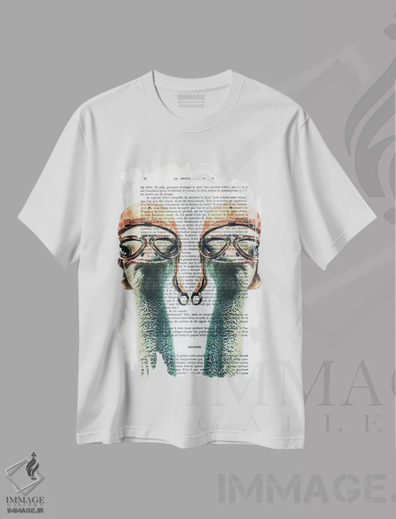تیشرت سفید طرح دار شترمرغ های خلبان وینتیج، تزئینی اثر کوکو د پاریس | immage.ir