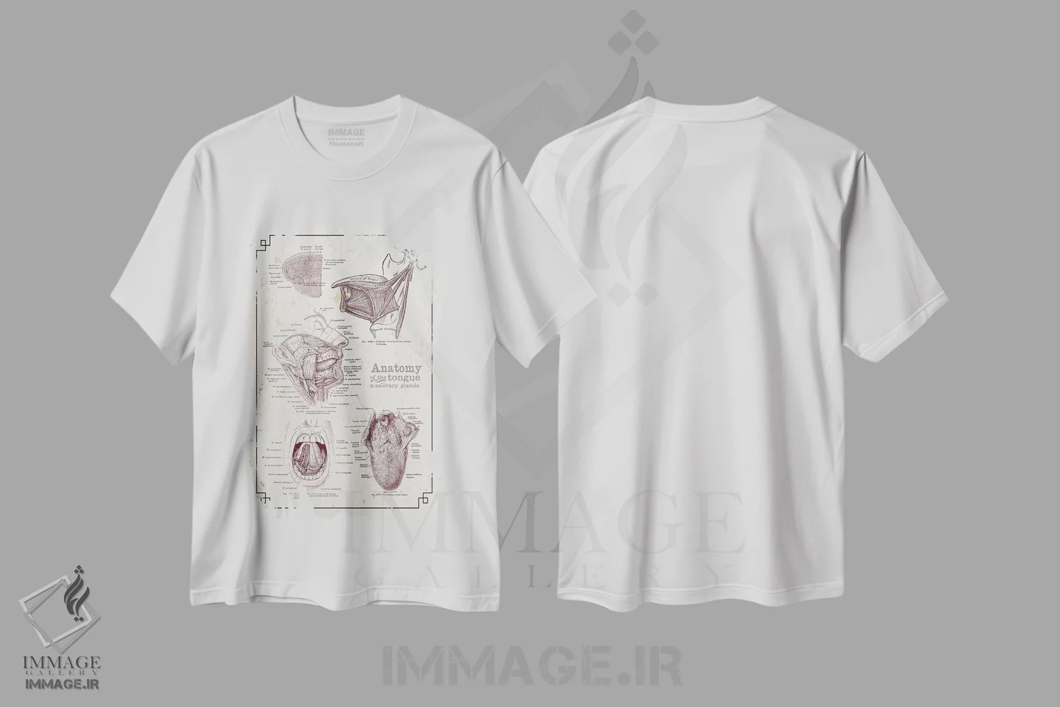 تیشرت سفید طرح دار آناتومی دهان و زبان، تزئینی اثر چارت اسمارت دکور | immage.ir