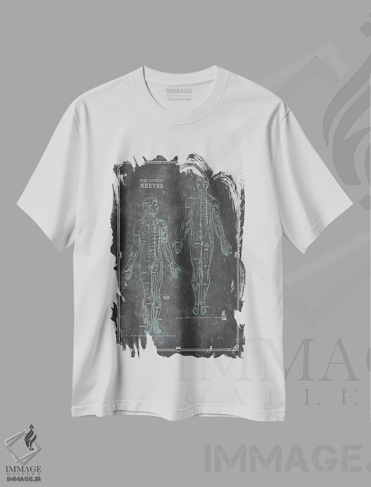 تیشرت سفید طرح دار آناتومی اعصاب نخاعی، تزئینی اثر چارت اسمارت دکور | فروشگاه ایماژ