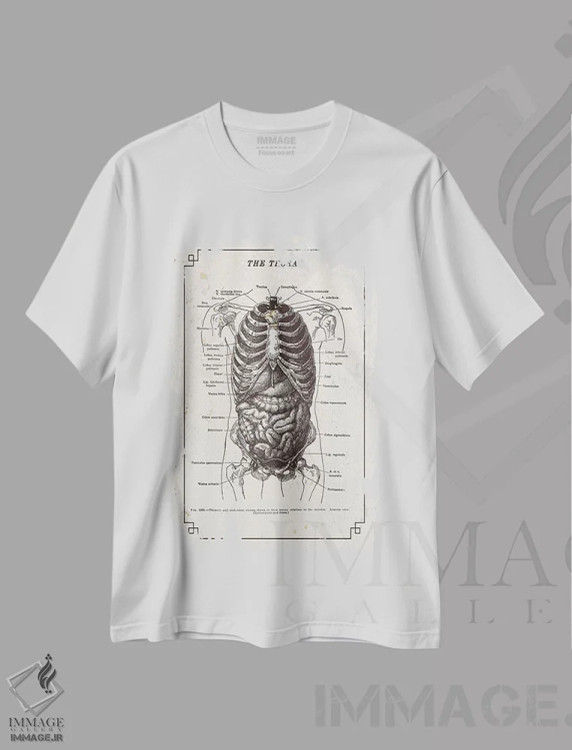تیشرت سفید طرح دار آناتومی قفسه سینه، تزئینی اثر چارت اسمارت دکور | immage.ir