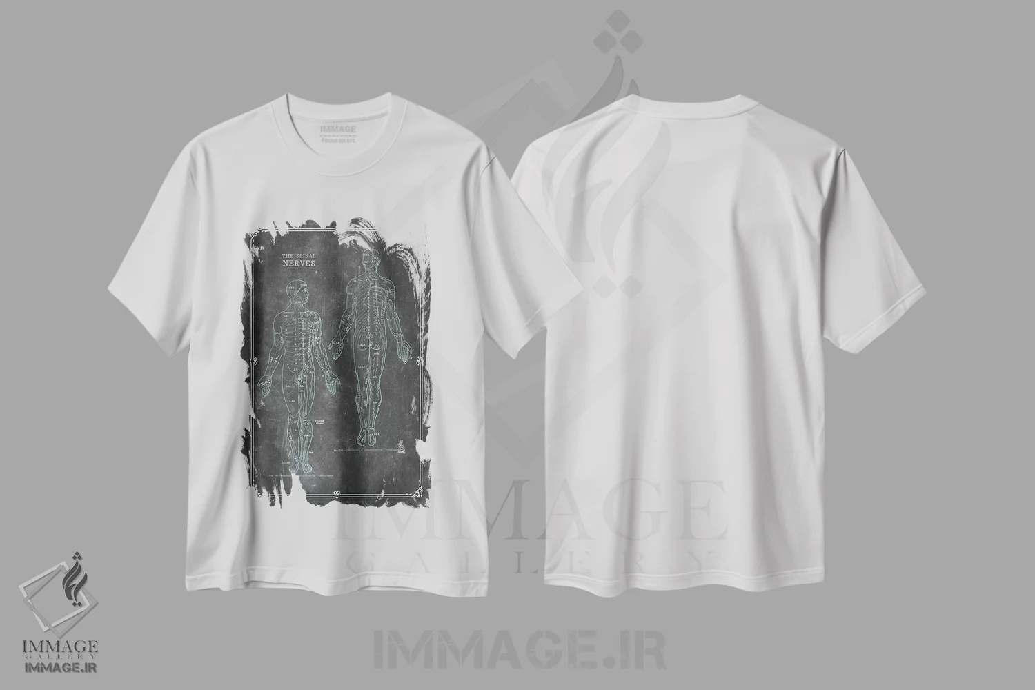 تیشرت سفید طرح دار آناتومی اعصاب نخاعی، تزئینی اثر چارت اسمارت دکور | فروشگاه ایماژ