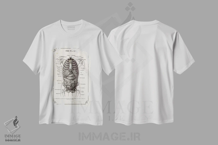 تیشرت سفید طرح دار آناتومی قفسه سینه، تزئینی اثر چارت اسمارت دکور | immage.ir
