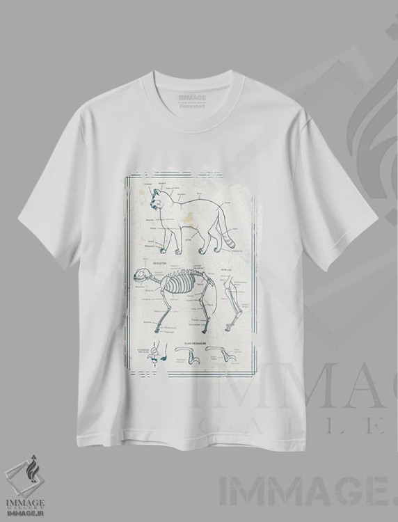 تیشرت سفید طرح دار آناتومی گربه، دکوراسیون جایگزین اثر چارت اسمارت دکور | immage.ir
