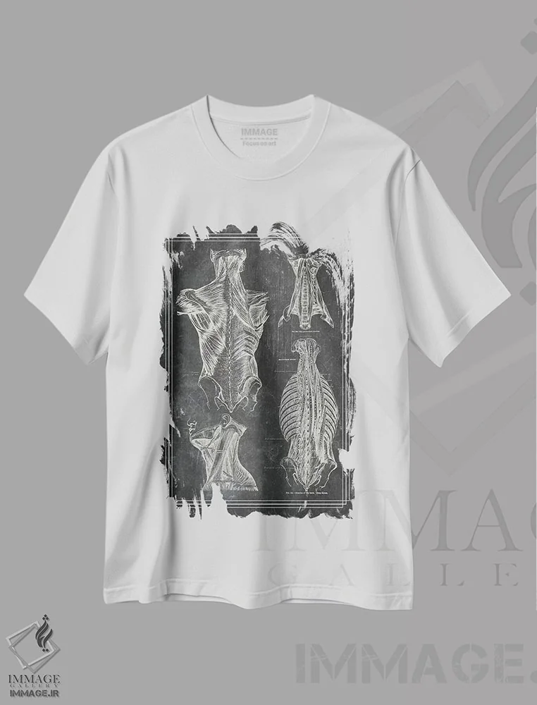تیشرت سفید طرح دار عضلات کمر و گردن ۱، دکوراسیون جایگزین اثر چارت اسمارت دکور | immage.ir