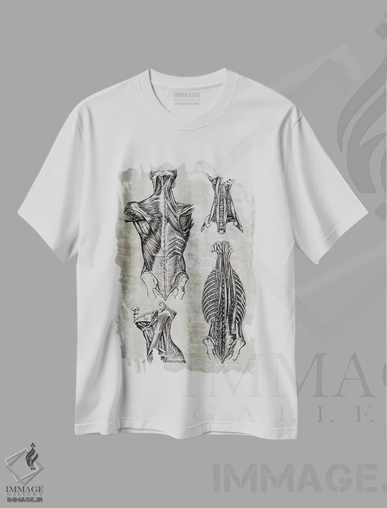 تیشرت سفید طرح دار عضلات کمر و گردن ۲، تزئینی اثر چارت اسمارت دکور | فروشگاه ایماژ