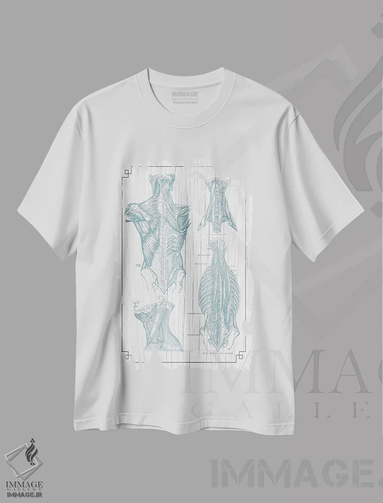 تیشرت سفید طرح دار عضلات کمر و گردن ۳، تزئینی اثر چارت اسمارت دکور | فروشگاه ایماژ