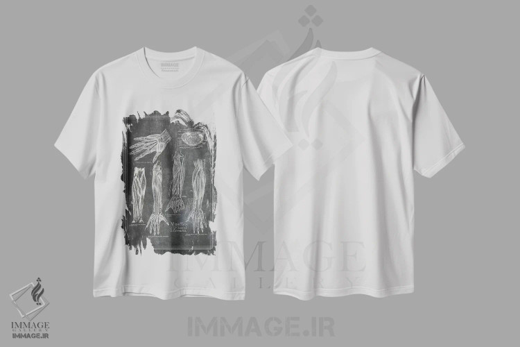 تیشرت سفید طرح دار عضلات ساعد و دست، تزئینی اثر چارت اسمارت دکور | فروشگاه ایماژ