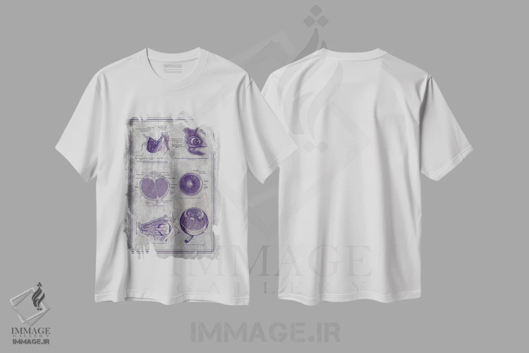 تیشرت سفید طرح دار آناتومی کره چشم و ساختارهای اربیتال، تزئینی اثر چارت اسمارت دکور | immage.ir